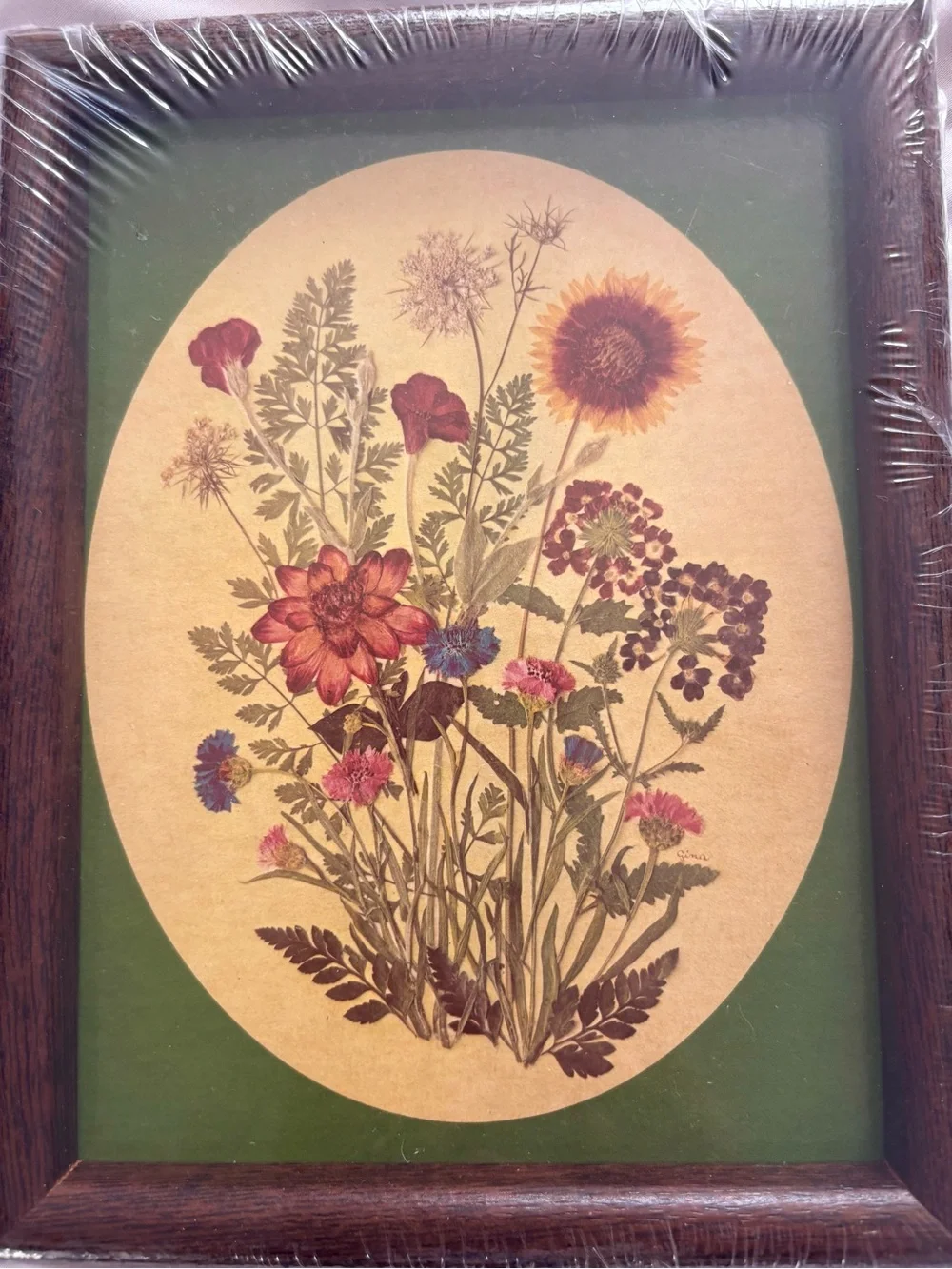 Vintage wildflower art illustration print framed home decor wall hanging new